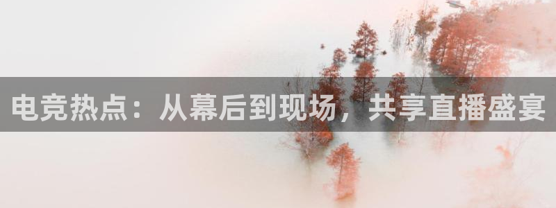 JJB电竞官方网站：电竞热点：从幕后到现场，共享直播盛宴