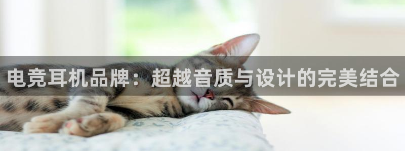 JJB电竞官