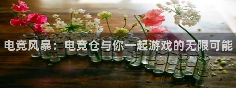 JJB电竞官：电竞风暴：电竞仓与你一起游戏的无限可能