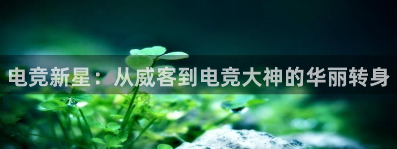 JJB电竞官方网站：电竞新星：从威客到电竞大神的华丽转身