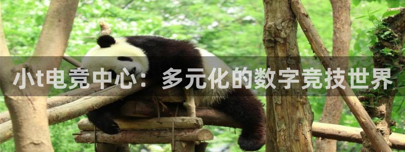JJB电竞官：小t电竞中心：多元化的数字竞技世界