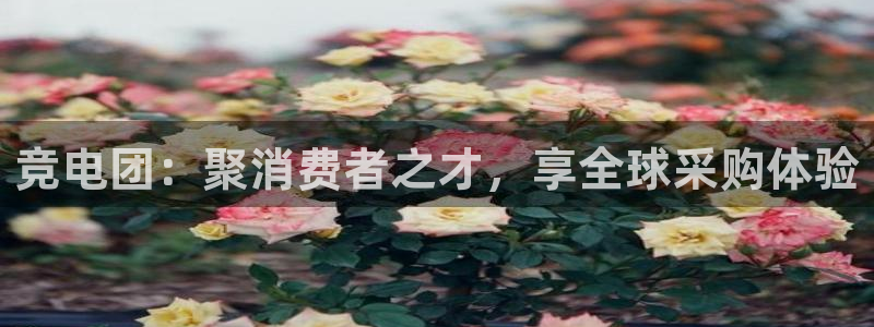 JJB电竞官：竞电团：聚消费者之才，享全球采购体验