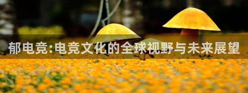 JJB电竞官方网站：郁电竞:电竞文化的全球视野与未来展望