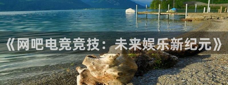 JJB电竞官方网站：《网吧电竞竞技：未来娱乐新纪元》