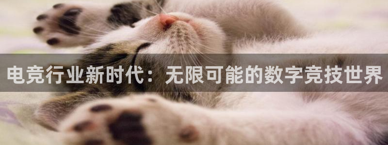 JJB电竞官：电竞行业新时代：无限可能的数字竞技世界