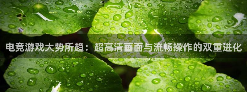 JJB电竞官方网站：电竞游戏大势所趋：超高清画面与流畅操作的双重进化