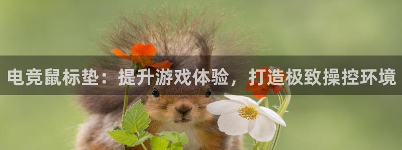 JJB电竞官方网站：电竞鼠标垫：提升游戏体验，打造极致操控环境