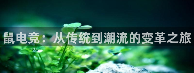 JJB电竞官：鼠电竞：从传统到潮流的变革之旅