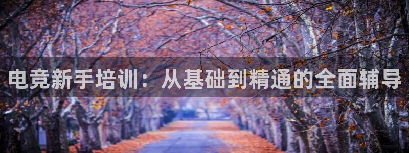 JJB电竞官：电竞新手培训：从基础到精通的全面辅导