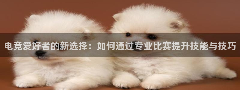 JJB电竞官方网站