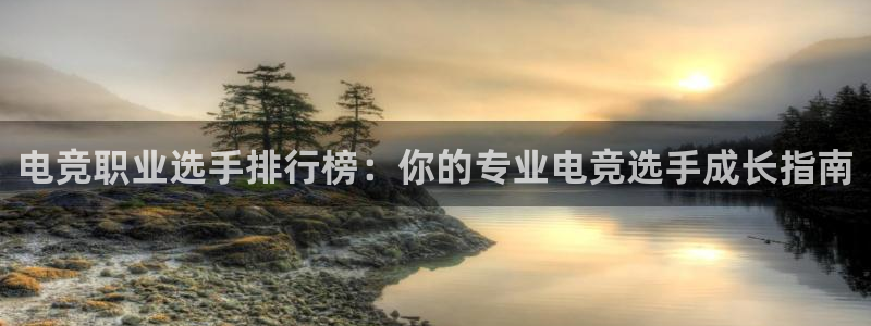 JJB电竞官方网站