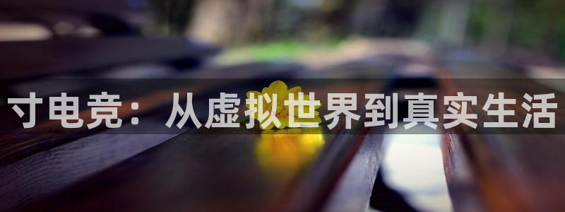 JJB电竞官方网站