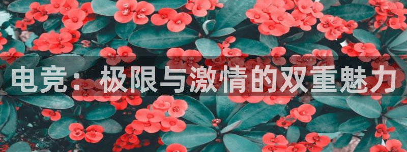 JJB电竞官方网站